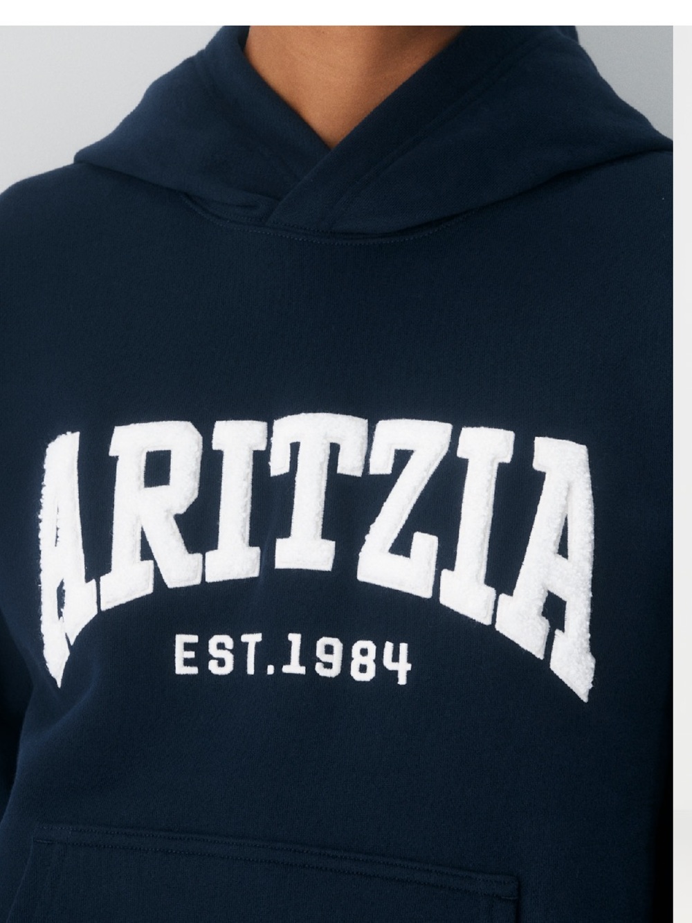 Aritzia Navy Hoodie with White Chenille Logo - Picture 4 of 6